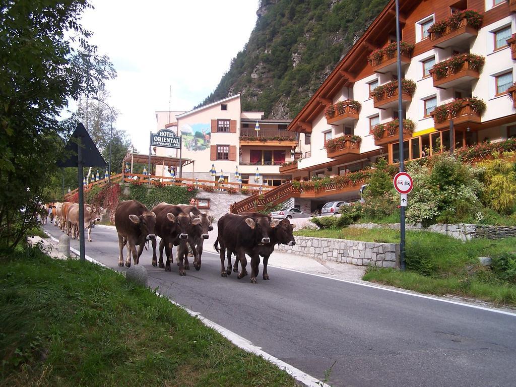 Alps Oriental Wellness Hotel Campodolcino Eksteriør billede